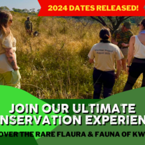 a group looking at flora and fauna on a game reserve