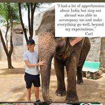 Animal care Internship in India 
