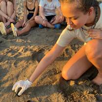 Girl sets baby turtle towards ocean