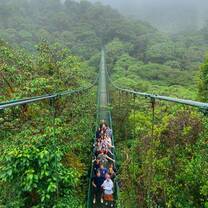 Leapers in Monteverde