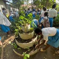Permaculture projects