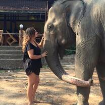 A volunteer wearing shorts and a t-shirt pets the trunk of a rescue elephant