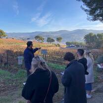 Winery 