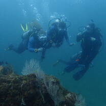 a group poses for a photo in the water  