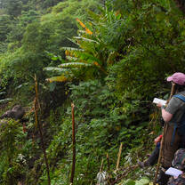 two girls stand on a hillside in a tropical forest writing in notebooks, an elephant is foraging down the hill