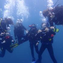 a group of divers poses underwater 