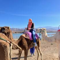 Camels