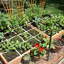 Gardening