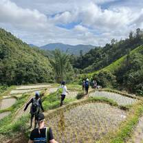 a group walks through rice terraces