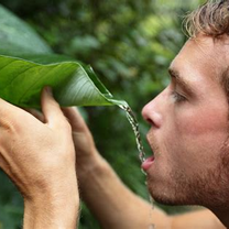 Survival Skills
