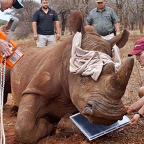 Wildlife Conservation