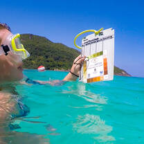 A student wearing snorkeling gear in the ocean. They are holding and looking at a clipboard.