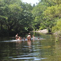 students swimming in a river