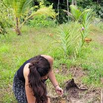girl planting a tree