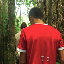 people walking through the forest