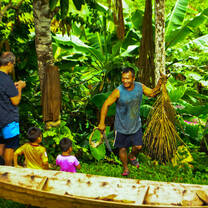 people picking fruit