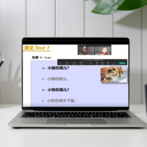 Online platform lessons
