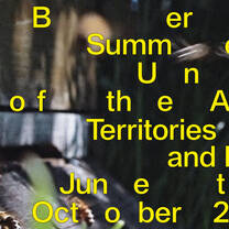Berlin Summer University of the Arts poster