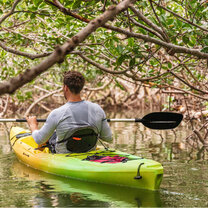 Person in Kayak