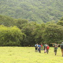 People walking in forest