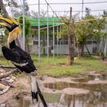 Animal recovery enclosure