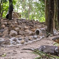 Animal recovery enclosure