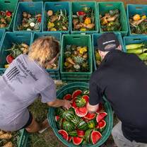 Volunteers packing fruits