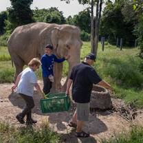 Volunteers helping out at the refuge