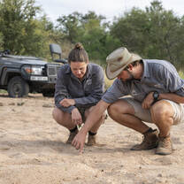 two students looking at animal tracks