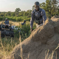 student exploring a termite mound 