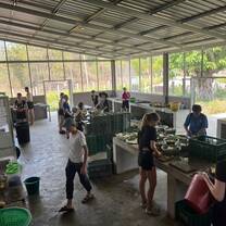 Volunteers in the kitchen prep area 