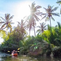 students kayaking in a river surrounded by palm trees in Kampot