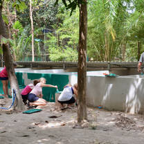 Volunteers helping out at the centre