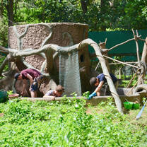 Volunteers helping out at the centre