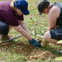Volunteers helping out at the refuge