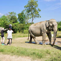 Volunteers letting the elephants out of their overnight enclosure