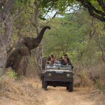 Wildlife Rangers - Good Hope Volunteers