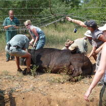 Wildlife Rangers - Good Hope Volunteers