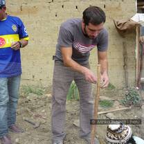 community work