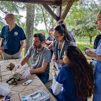 Exotic animals vet teaching fellows how to examine a turtle