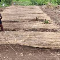 garden beds