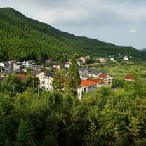 birds eye view of Moganshan