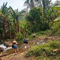 a group explores a tea farm in Thailand