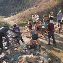 a group helps with chores in elephant sanctuary 