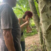 Another perspective while collecting medicinal resine from a tree