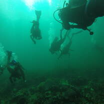 Scuba Diving in Panama