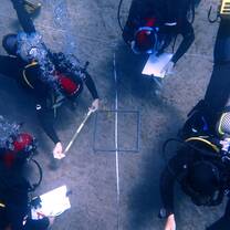Internes taking data