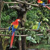Be surrounded by wildlife