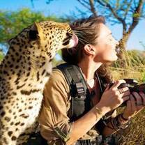 Animal interaction