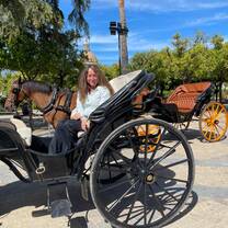 Evelyn horse-drawn carriage ride Jerez de la Frontera, Cádiz, Andalucía, Spain